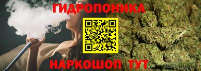 гидропоника Тара