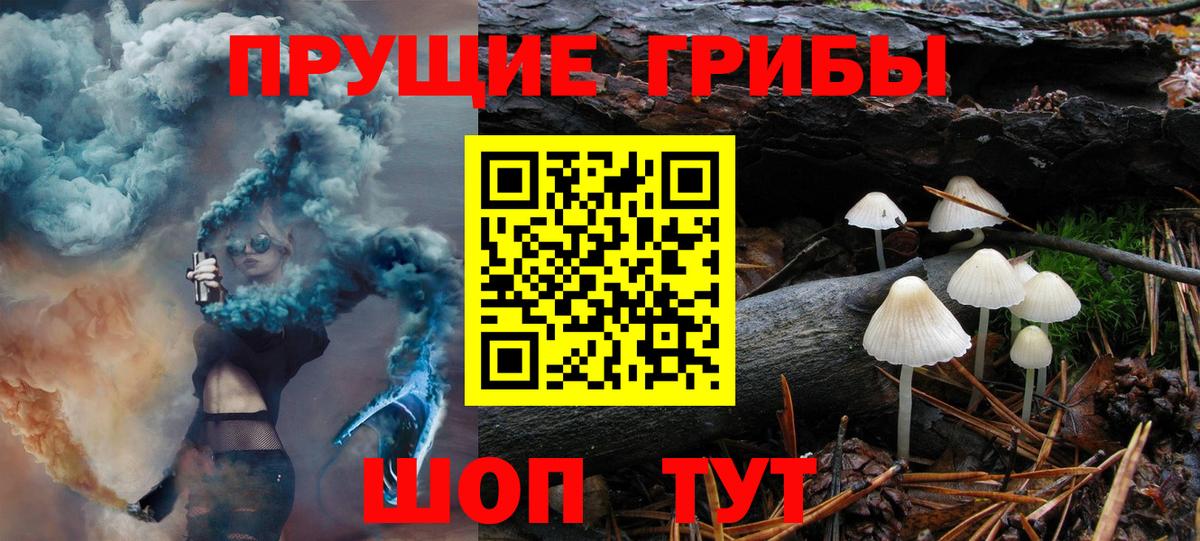 Псилоцибиновые грибы мухоморы Нововоронеж