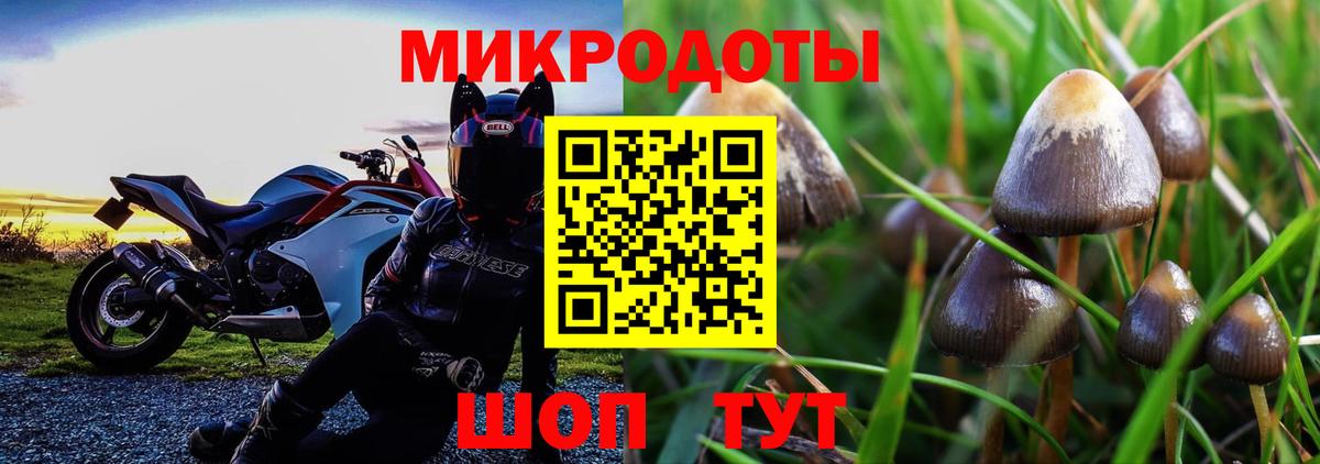 как найти закладки  Галлюциногенные грибы MAGIC MUSHROOMS  Вход с VPN  Нововоронеж 