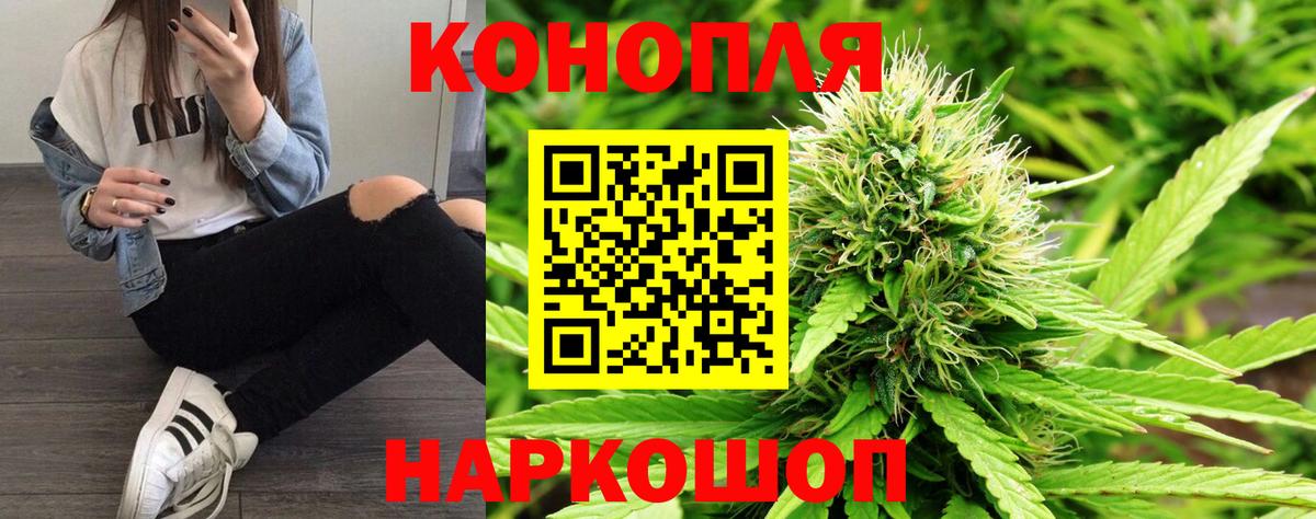 Каннабис OG Kush  Вход с VPN  МАРИХУАНА ГИДРОПОН  Нововоронеж 